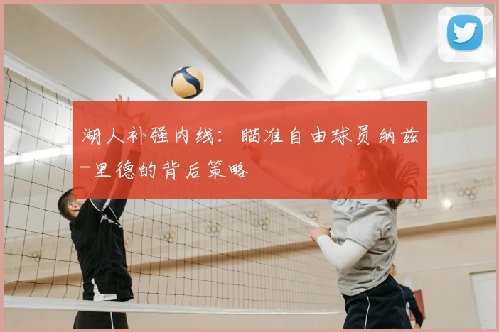湖人补强内线:瞄准自由球员纳兹-里德的背后策略
