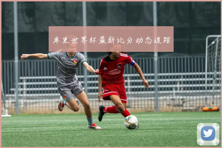 库里世界杯最新比分动态追踪